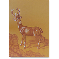 Hirsch Buntstift, 50x70cm