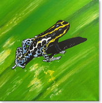 Frosch, &Ouml;l auf Leinwand, 20x20cm