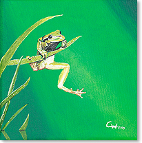Frosch, Öl auf Leinwand, 20x20cm